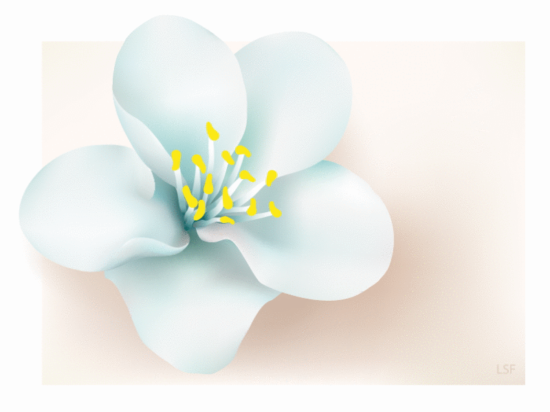 Ai+Ae flowers ae ai animation flower fresh graphic illustrator move wind