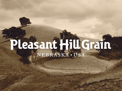 Pleasant Hill Grain Logo Design by The Logo Smith branding completed identity logo design logomark portfolio sans serif typography