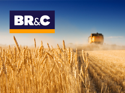 BR&C Logo & Brand ReDesign