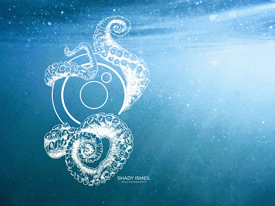 Shady Ismeil underwater photography illustration branding design flat graphic design icon illustration illustrator logo vector