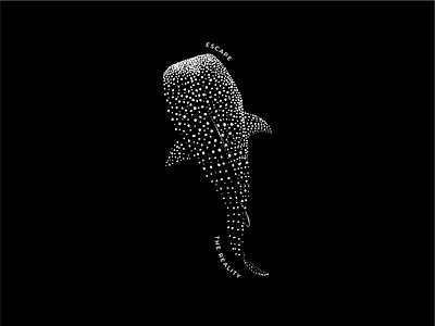 Whaleshark diving illustration and T-Shirt design branding design graphic design illustration illustrator t shirt t shirt design