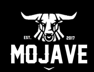 Mojave Logo branding design graphic design illustration logo typography