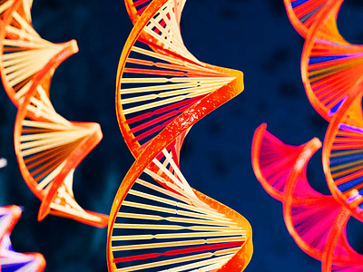 DNA 3D MODEL AND RENDER