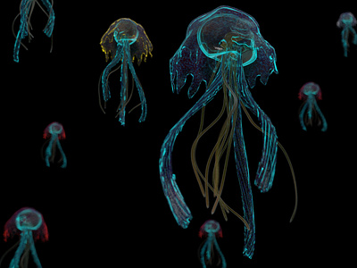 JellyFish 3D Models 3d 3d model design