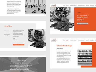 Accounting homepage accounting branding business gray homepage homepage design minimal orange ui webdesign website website concept