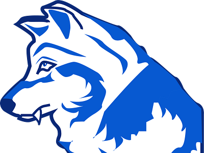Wolf Sports Logo Concept branding design illustration