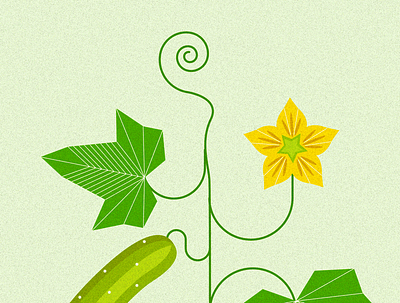 vegetable graphic design