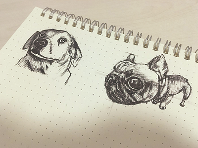两只狗 dog drawing sketch