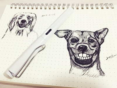 两只狗1 dog illustration sketch