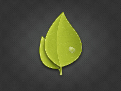 Leaves droplet green leaf leaves water