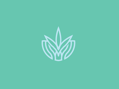 Cannabis logo design branding branding logo cannabis graphic design icon logo