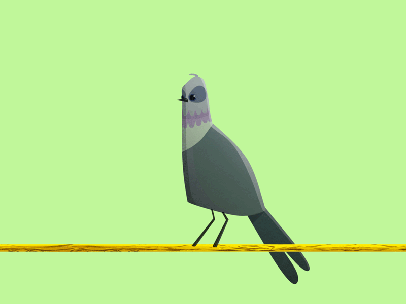 Pigeon 2d animated bird character design green illustration look pigeon