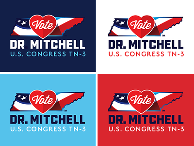 Dr. Mitchell Candidate for U.S. Congress branding illustration logo print