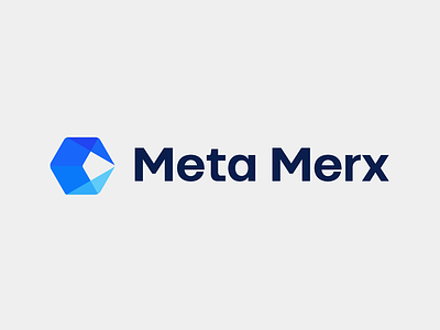 Meta Merx 1