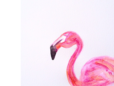 Flamingo animal flamingo graphicdesign illustration painting summer watercolor