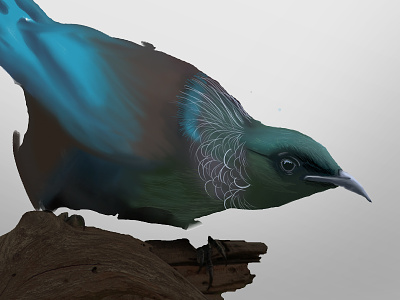 Digital Painting - Tui bird digital painting tui