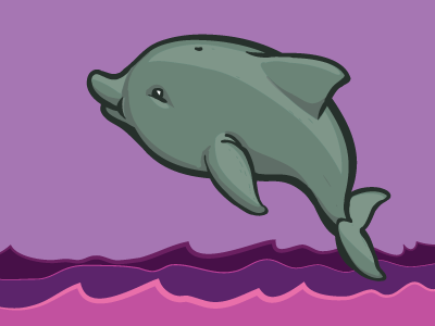 Dolphin dolphin illustration