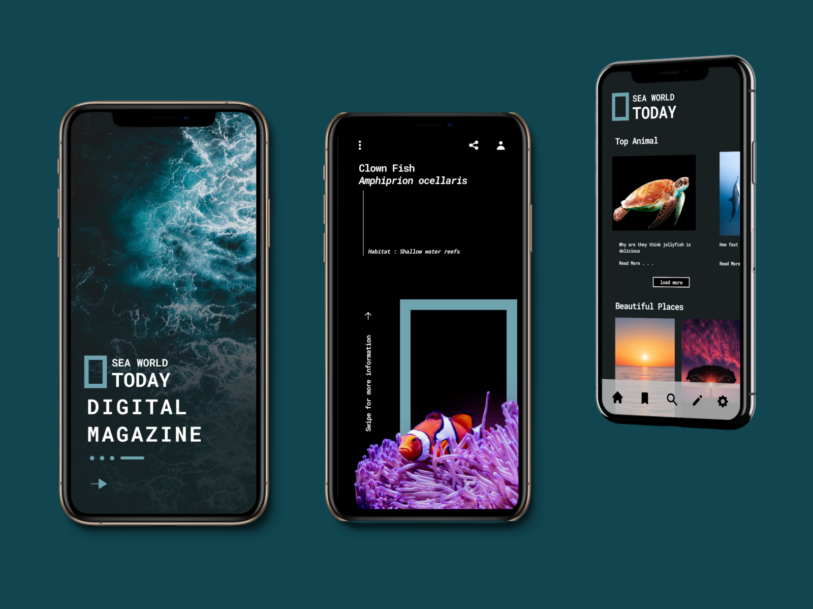Digital Magazine by Kaeru on Dribbble