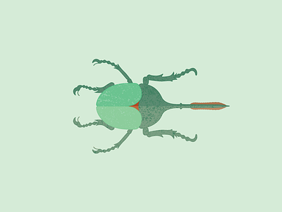 Hercules beetle bug contrast design flat green hercules texture vector