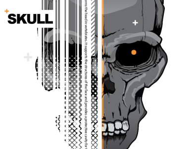 Skull evil poster skull vector