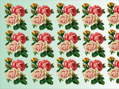 ROSES flower grafis nice roses