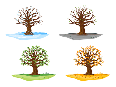 Set of oak tree in four seasons