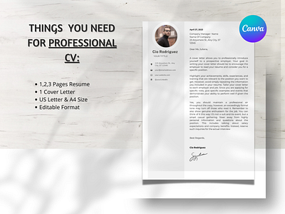 Professional Simple Resume Layout Editable