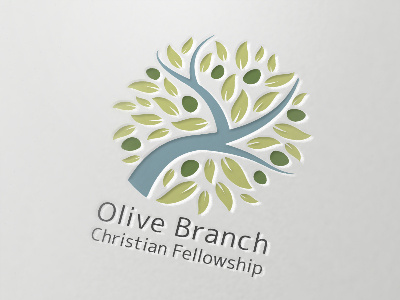 Olive Branch logo concept branch branding logo nature olive