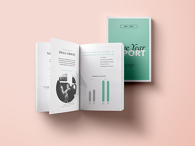 Epic Five Year Report booklet color data editorial graphics infographics print typography visual visualization