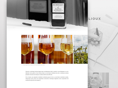 Hennessy Campaign #2 bold carousel gallery graphic design image interface text type typography ui visual design