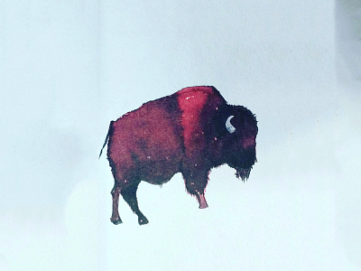 Bison animal bison black doodle illustration ink red