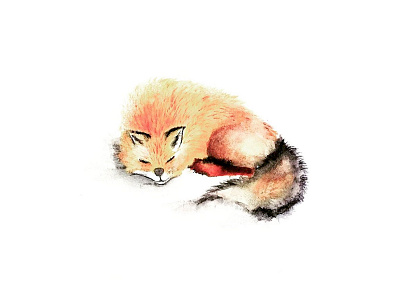 Foxxy animal fox sketch snow watercolour