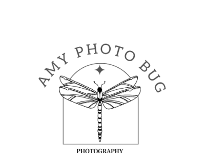 Amy Photo Bug Photography - Line Logo branding design graphic design illustration logo logo design