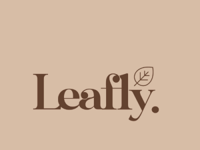 Leafly Tea - Logo branding design graphic design illustration logo logo design