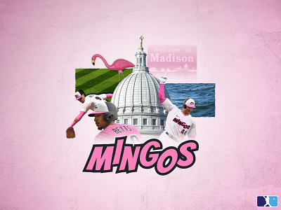 Madison Mingos baseball flamingo flamingos graphic design ps5 sports the show