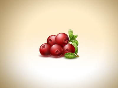 Cranberries food icon