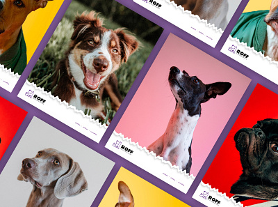ROFF Brand Posters animal brand identity brandidentity branding dog graphic design identity poster posterdesign