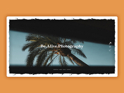 Photography Portfolio Website