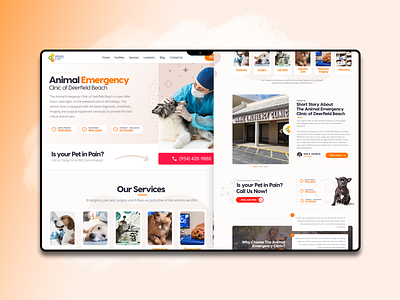 Animal Emergency Design animal animals creative design emergency website