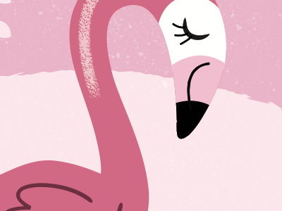 Flamingo