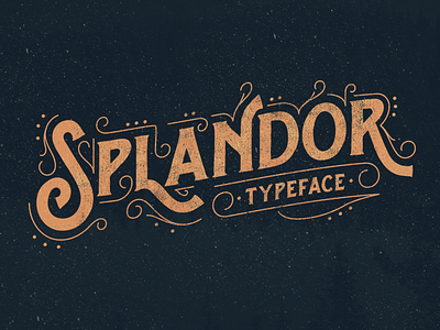 Splandor Typeface font hands lettering lettering texture typeface vintage