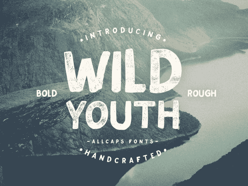 Wild Youth Typeface brush font typeface