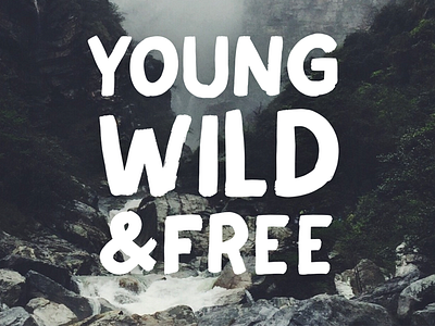 Wild Youth Typeface brush font typeface