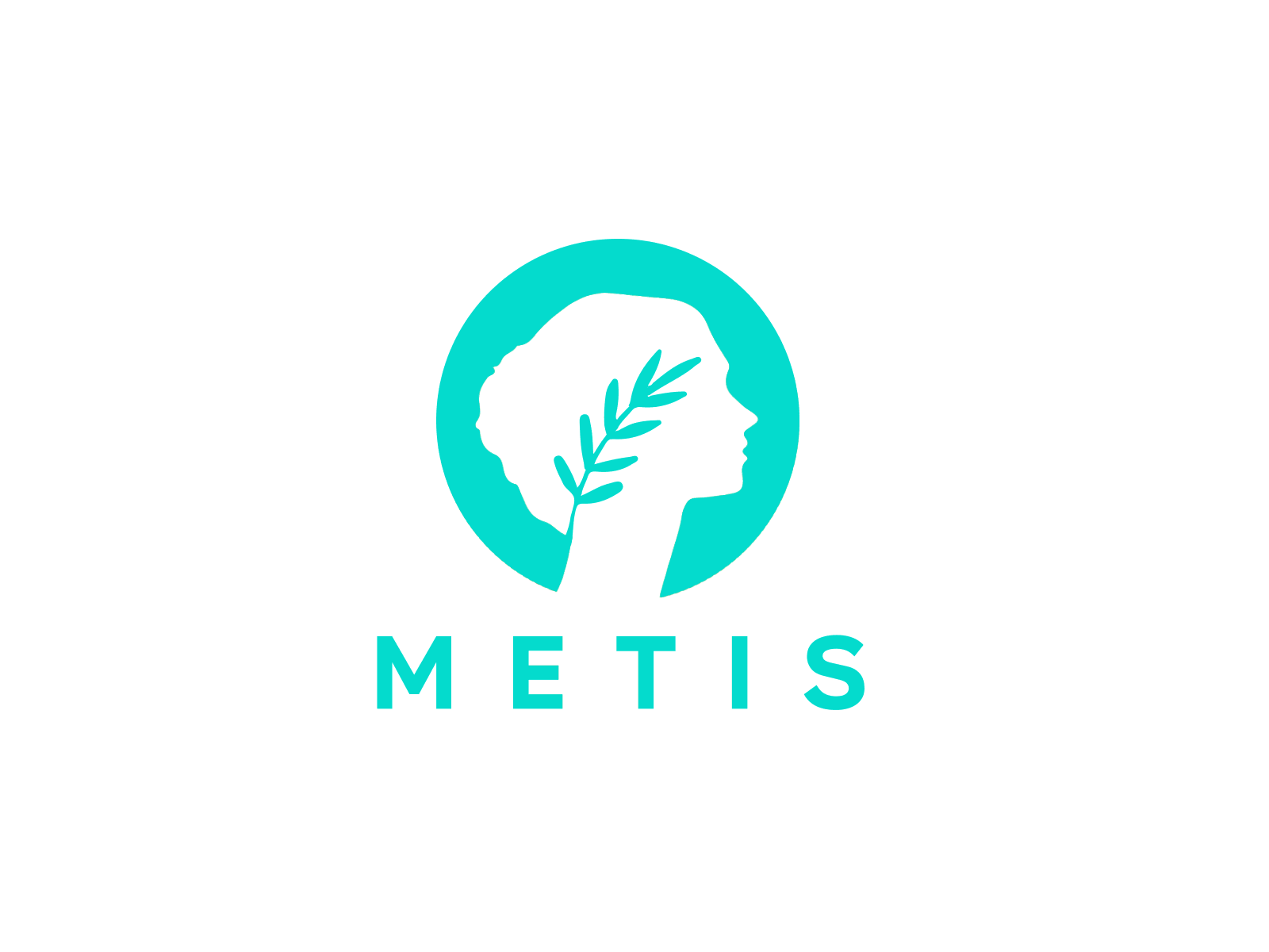 Metis logo animation animation coin greek logo animation motion graphics