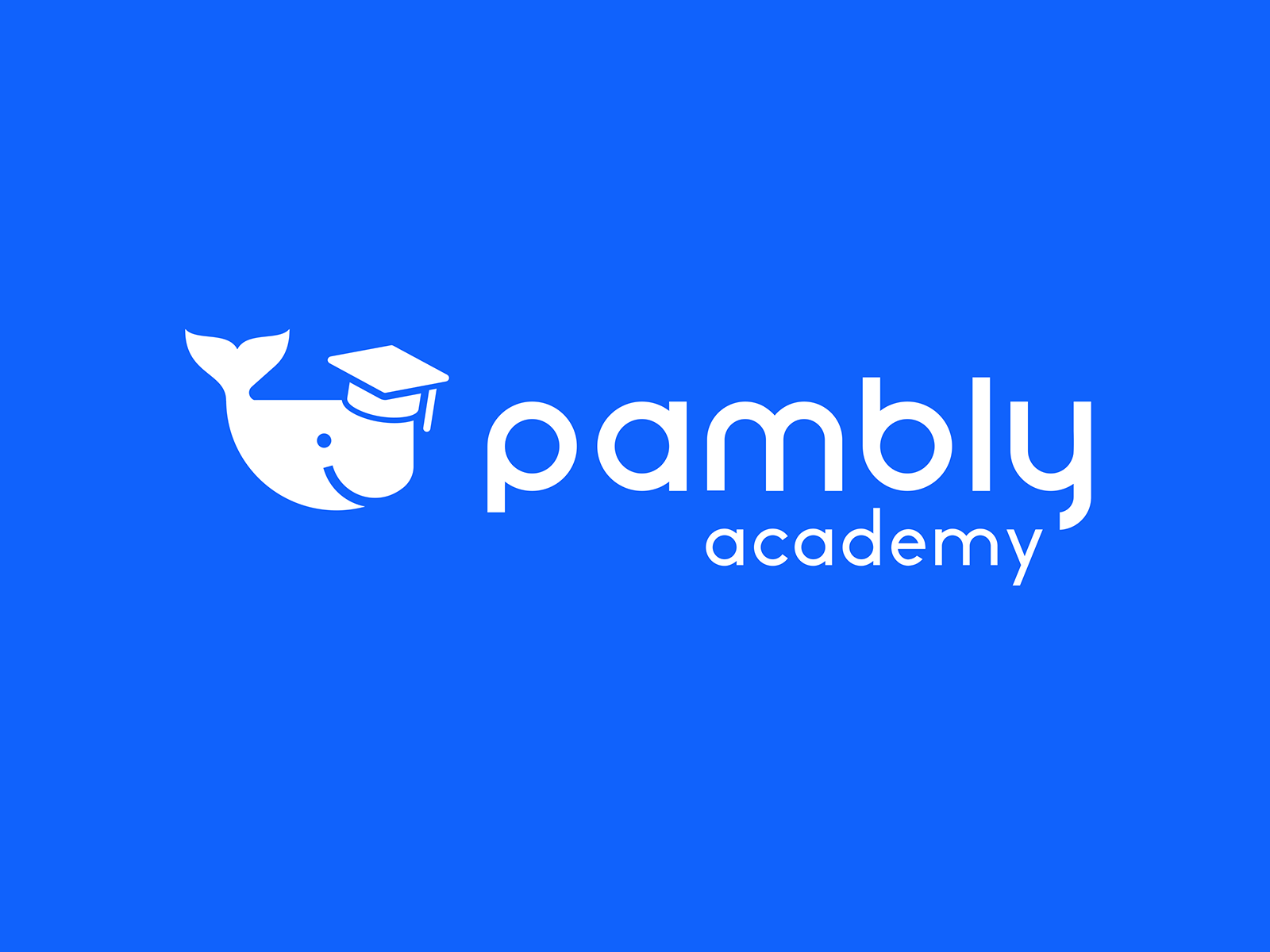 Pambly Academy Logo Animation academy animation logo logo animation motion motion design motion graphics splash whale