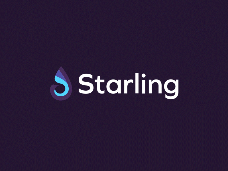 Starling Logo Animation animatedlogo animation bird flying logo logo animation motion graphics starling