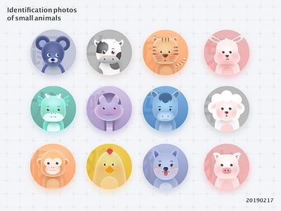 Identification photos of small animals animal badge chinese zodiac