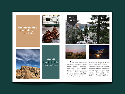 Magazine Design design graphic design