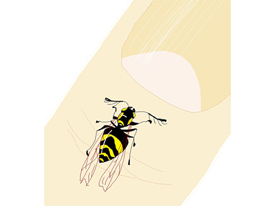 Wasp on the nail finger paint touchscreen