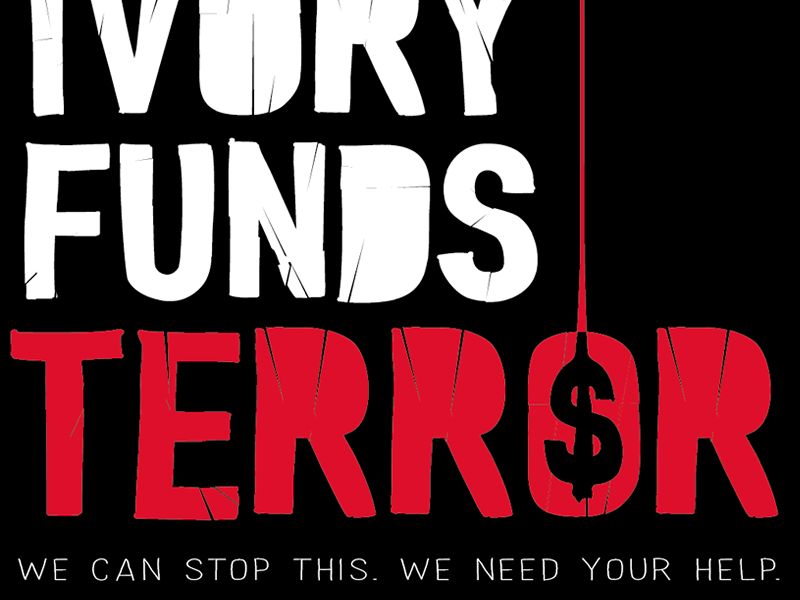 Illegal Ivory Funds Terror